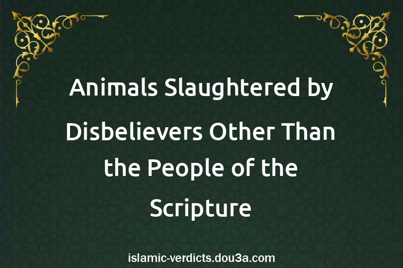 Animals Slaughtered by Disbelievers Other Than the People of the Scripture