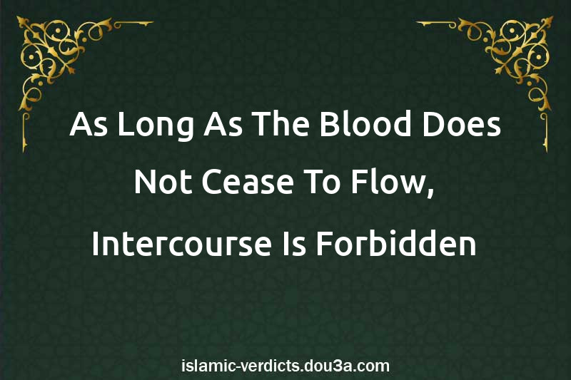 As Long As The Blood Does Not Cease To Flow, Intercourse Is Forbidden