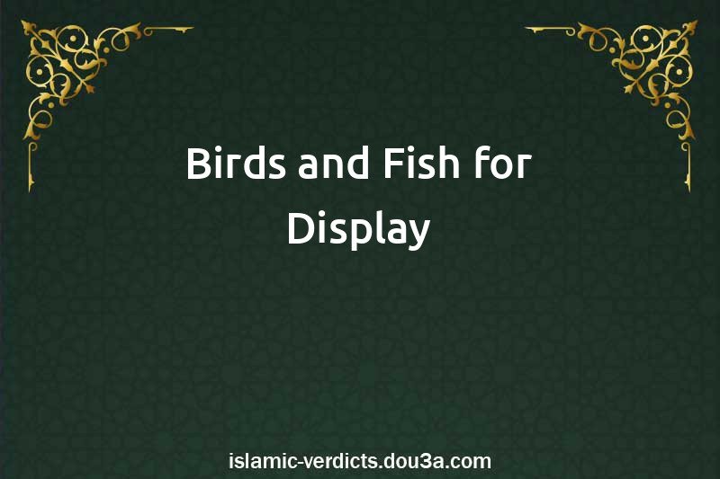 Birds and Fish for Display