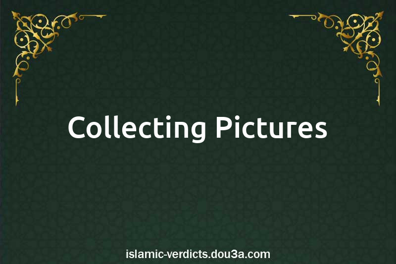 Collecting Pictures