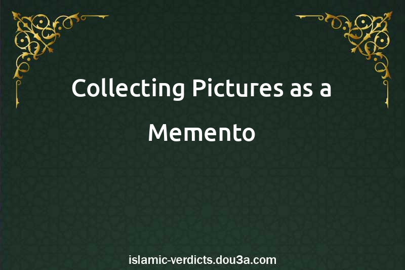 Collecting Pictures as a Memento