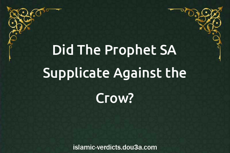 Did The Prophet SAW Supplicate Against the Crow?