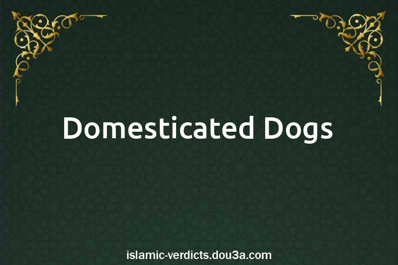 Domesticated Dogs