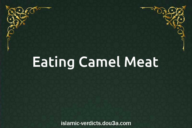 Eating Camel Meat