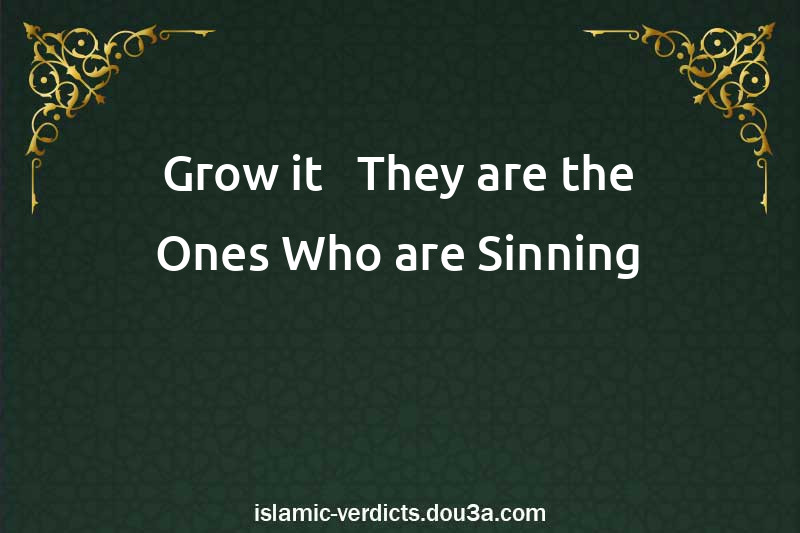 Grow it - They are the Ones Who are Sinning