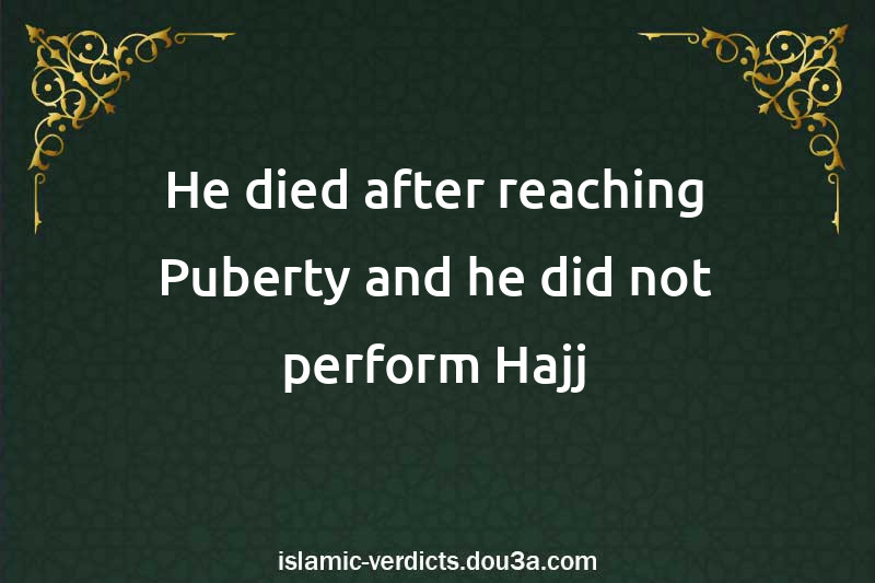 He died after reaching Puberty and he did not perform Hajj