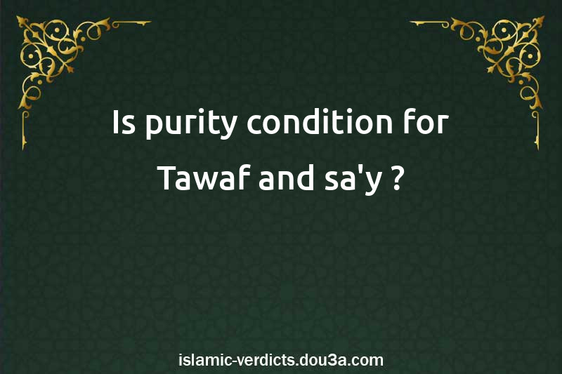 Is purity condition for Tawaf and sa'y ?