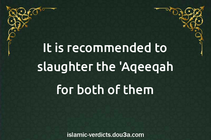 It is recommended to slaughter the 'Aqeeqah for both of them