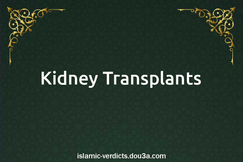 Kidney Transplants