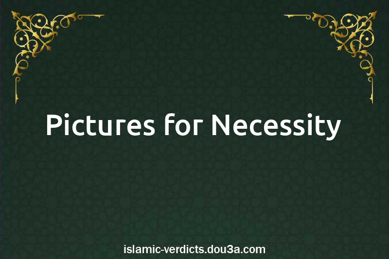 Pictures for Necessity