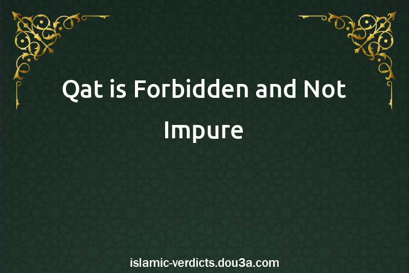 Qat is Forbidden and Not Impure