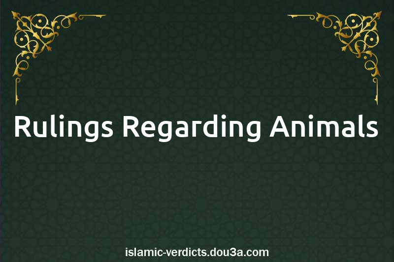 Rulings Regarding Animals