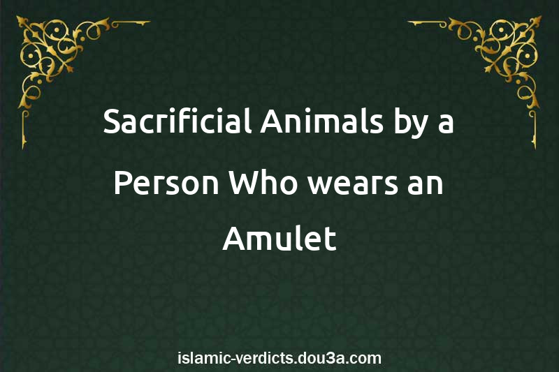 Sacrificial Animals by a Person Who wears an Amulet