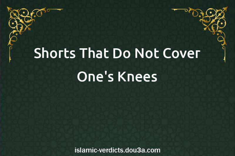 Shorts That Do Not Cover One's Knees