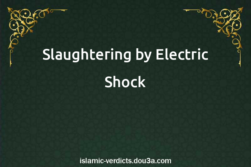 Slaughtering by Electric Shock