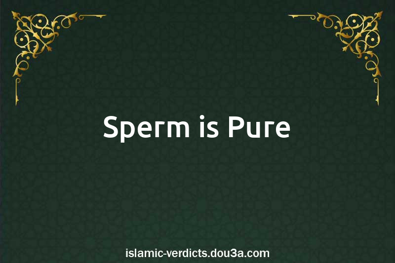 Sperm is Pure