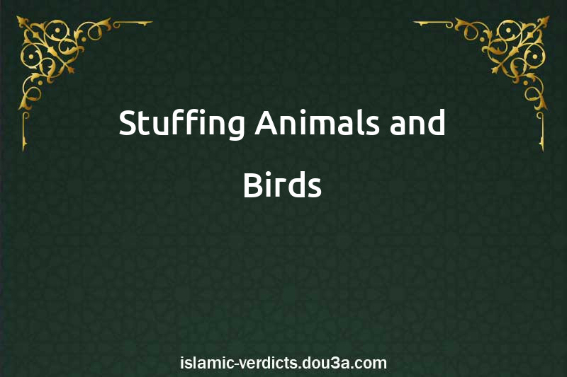 Stuffing Animals and Birds