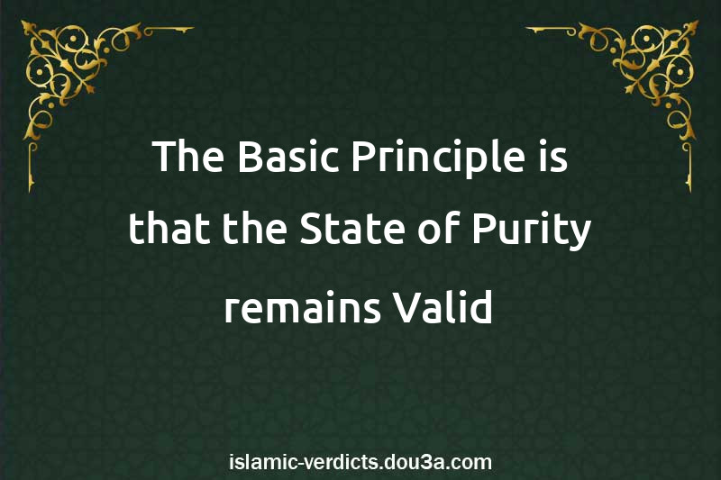 The Basic Principle is that the State of Purity remains Valid