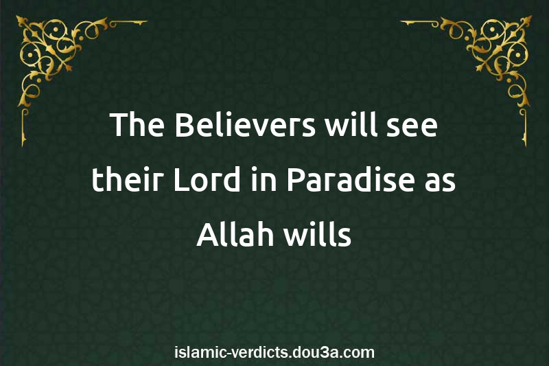 The Believers will see their Lord in Paradise as Allah wills