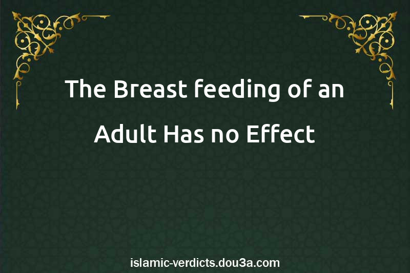 The Breast-feeding of an Adult Has no Effect