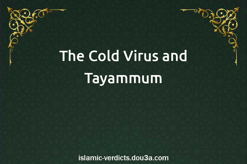 The Cold Virus and Tayammum