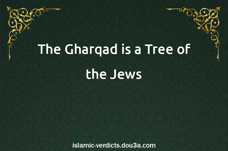 The Gharqad is a Tree of the Jews