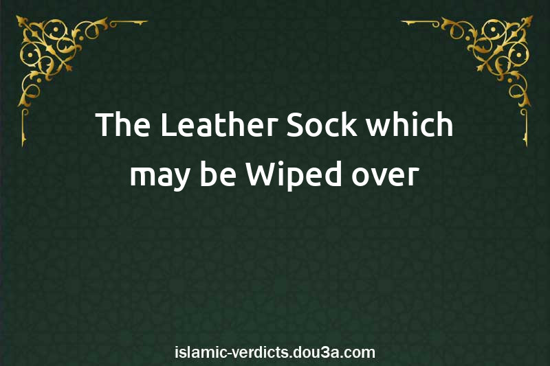 The Leather Sock which may be Wiped over