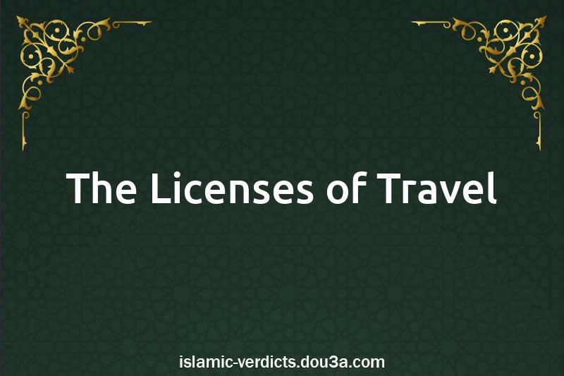 The Licenses of Travel