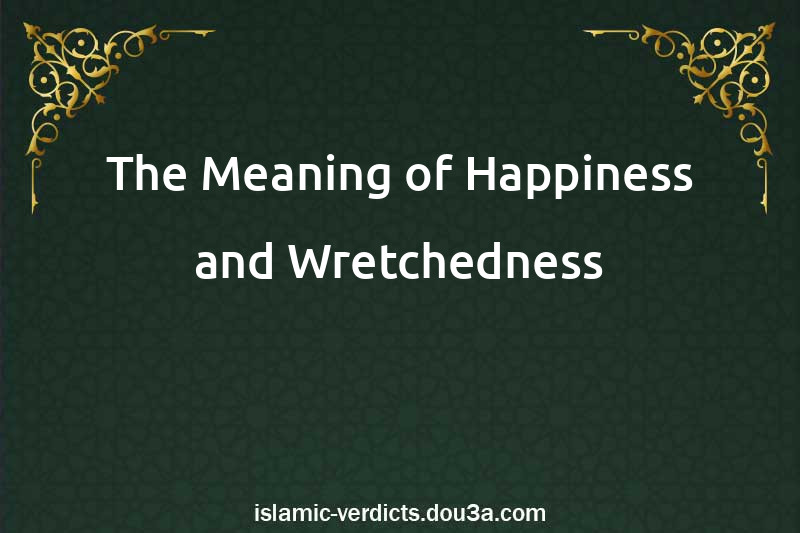 The Meaning of Happiness and Wretchedness