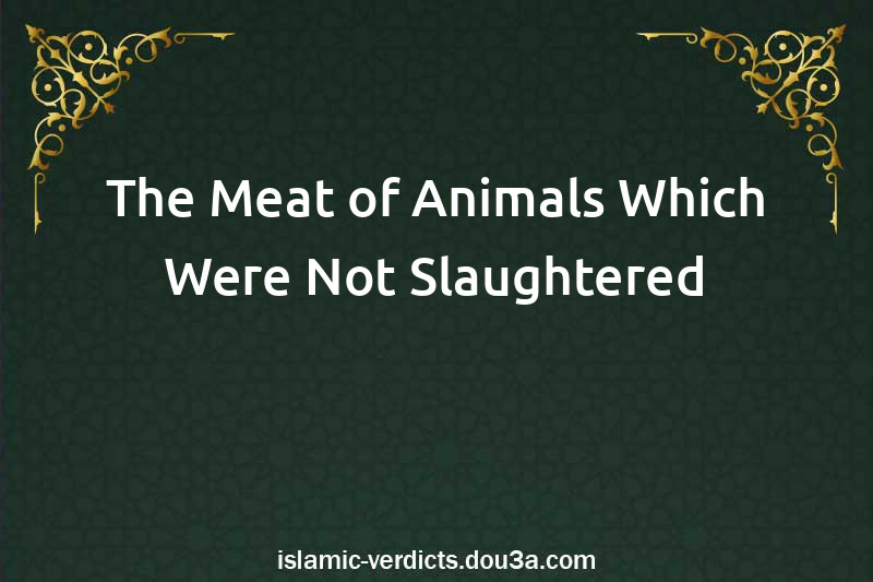 The Meat of Animals Which Were Not Slaughtered