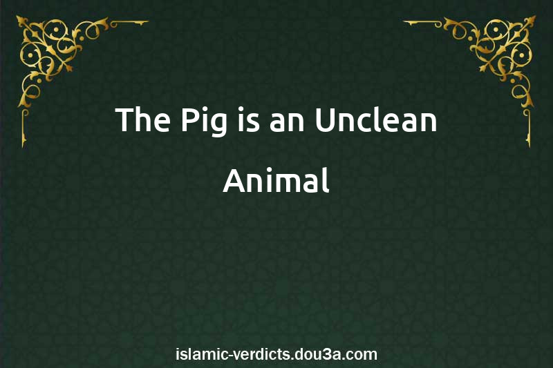 The Pig is an Unclean Animal