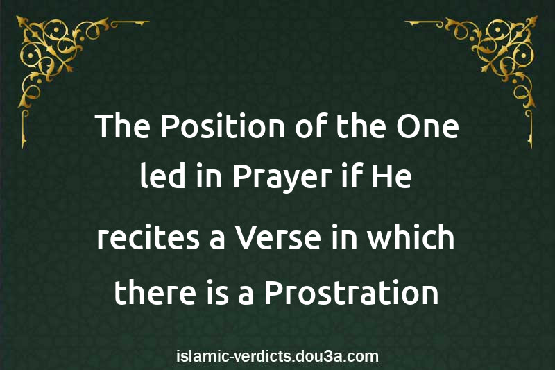 The Position of the One led in Prayer if He recites a Verse in which there is a Prostration