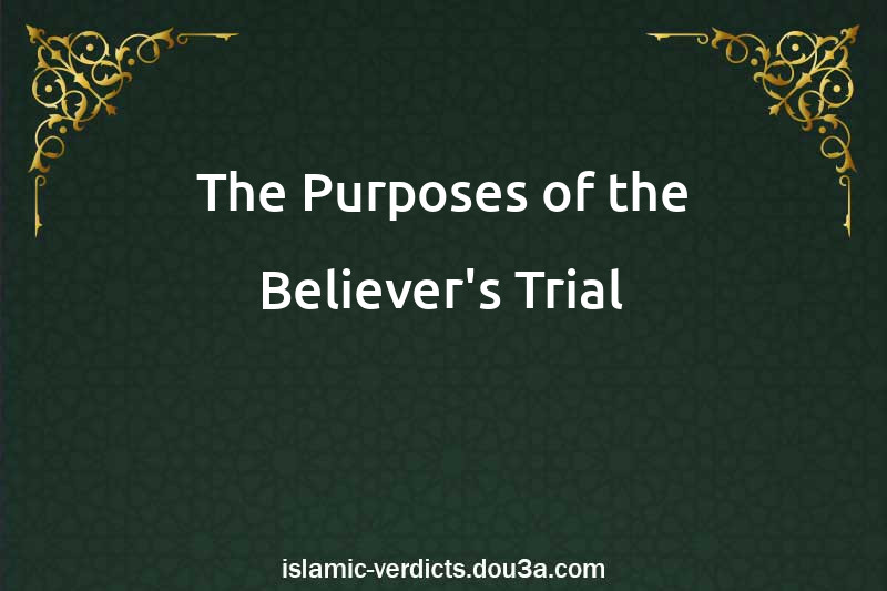 The Purposes of the Believer's Trial