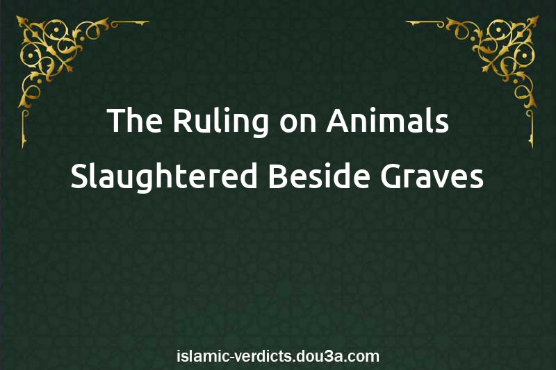 The Ruling on Animals Slaughtered Beside Graves