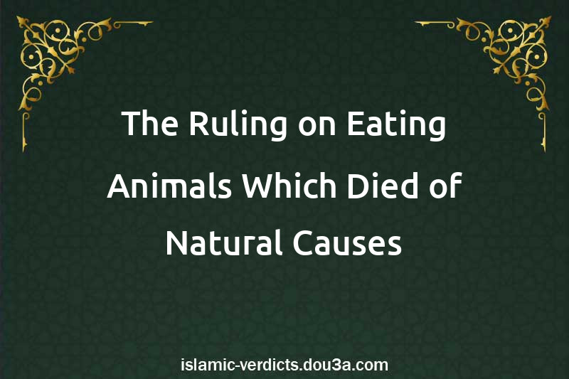 The Ruling on Eating Animals Which Died of Natural Causes