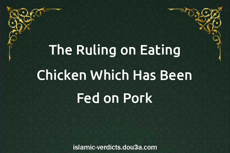 The Ruling on Eating Chicken Which Has Been Fed on Pork