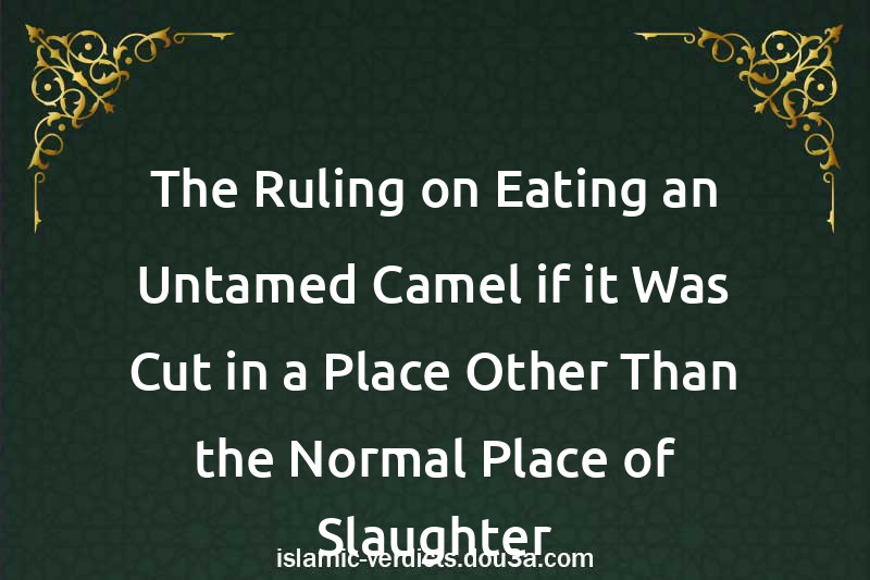 The Ruling on Eating an Untamed Camel if it Was Cut in a Place Other Than the Normal Place of Slaughter