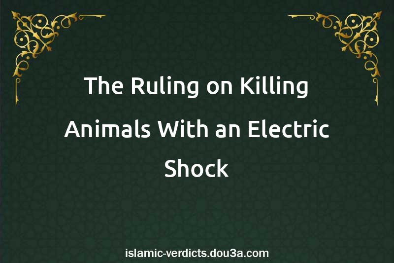 The Ruling on Killing Animals With an Electric Shock