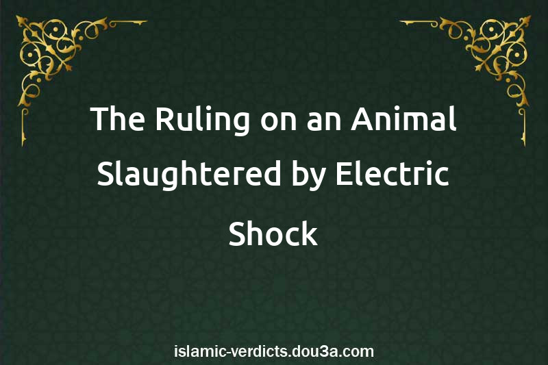 The Ruling on an Animal Slaughtered by Electric Shock