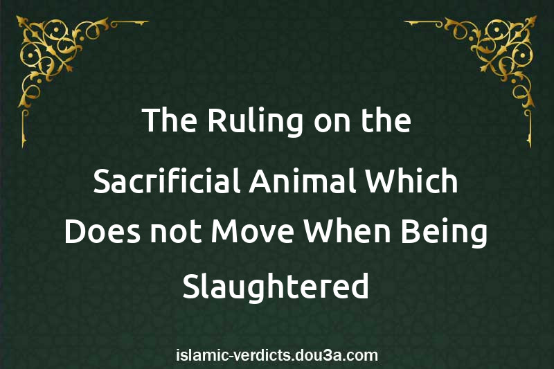 The Ruling on the Sacrificial Animal Which Does not Move When Being Slaughtered