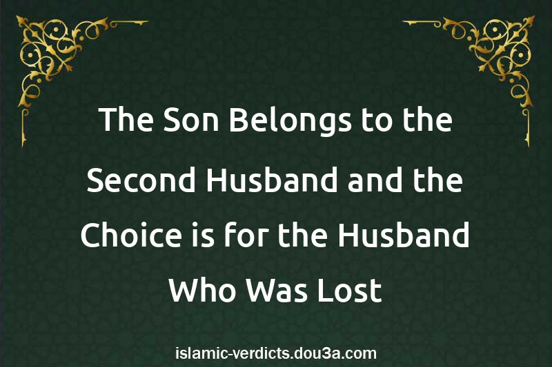 The Son Belongs to the Second Husband and the Choice is for the Husband Who Was Lost