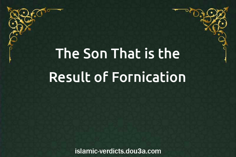 The Son That is the Result of Fornication