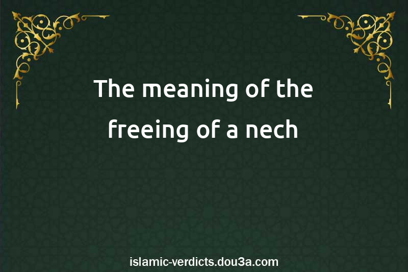 The meaning of the freeing of a nech