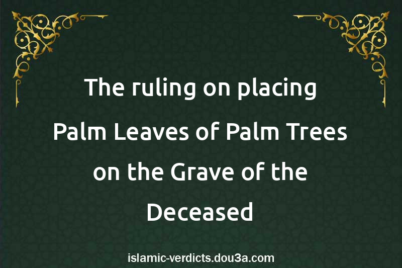 The ruling on placing Palm Leaves of Palm Trees on the Grave of the Deceased