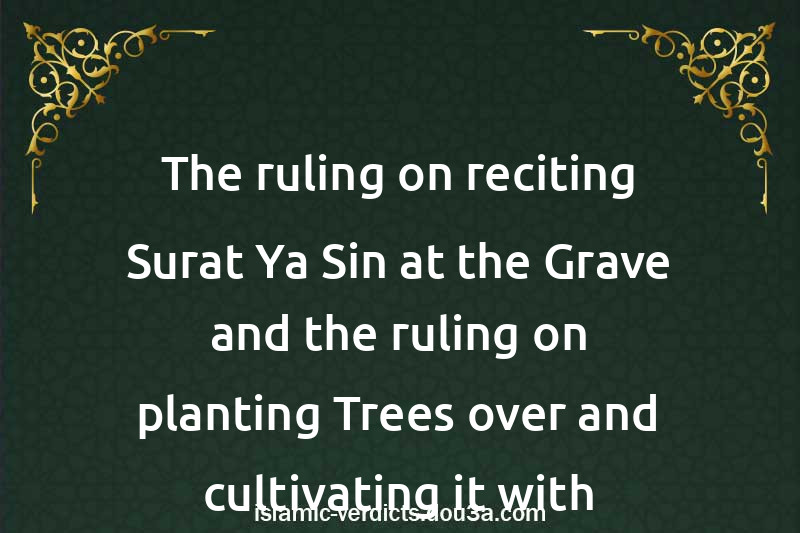 The ruling on reciting Surat Ya-Sin at the Grave and the ruling on planting Trees over and cultivating it with Vegetation