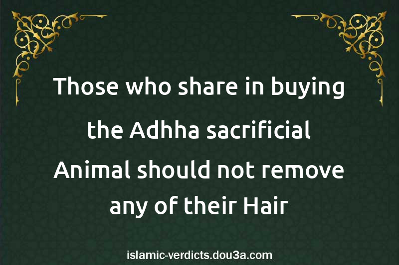 Those who share in buying the Adhha sacrificial Animal should not remove any of their Hair