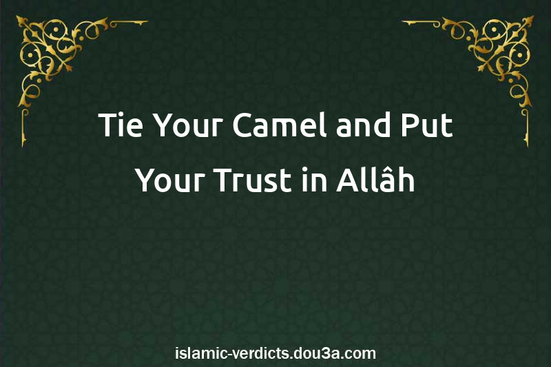Tie Your Camel and Put Your Trust in Allâh