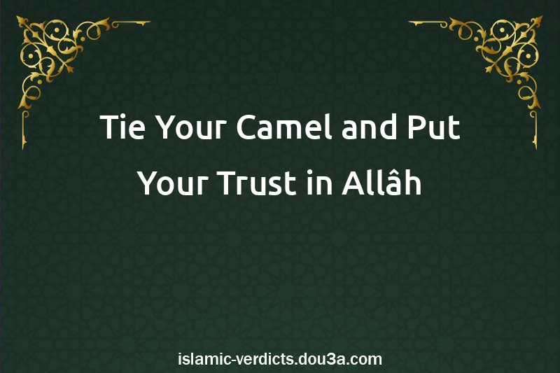 Tie Your Camel and Put Your Trust in Allâh