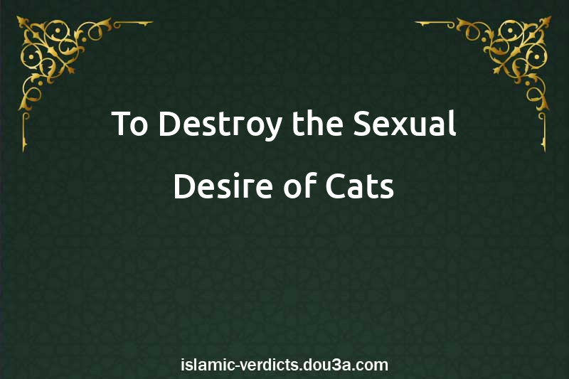 To Destroy the Sexual Desire of Cats