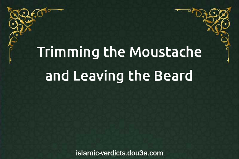 Trimming the Moustache and Leaving the Beard